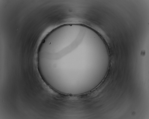 X0000101181472200807181436