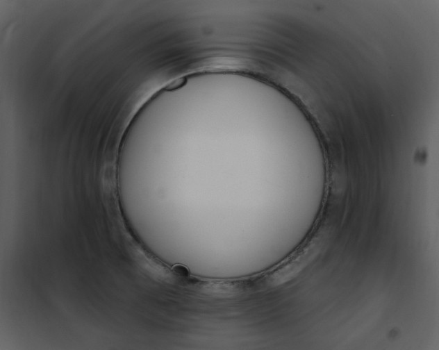 X0000101181473200807181436