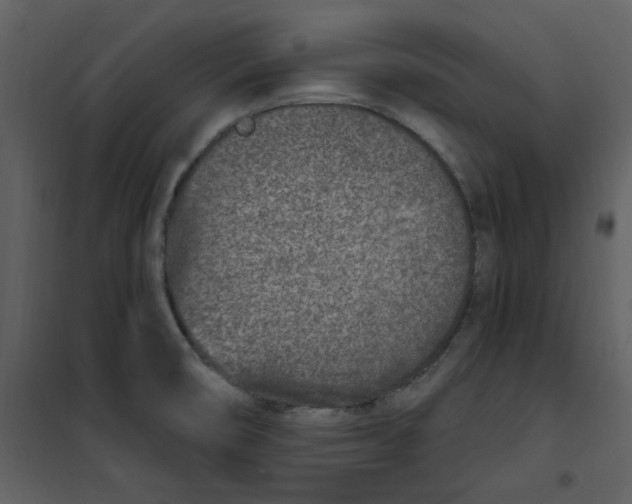 X0000101181474200807181436