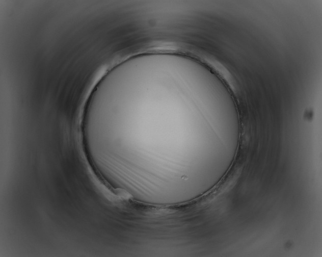 X0000101181475200807181436