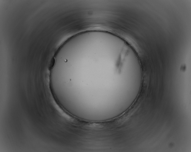 X0000101181476200807181436