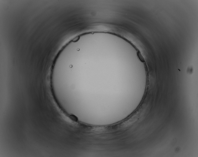 X0000101181477200807181436