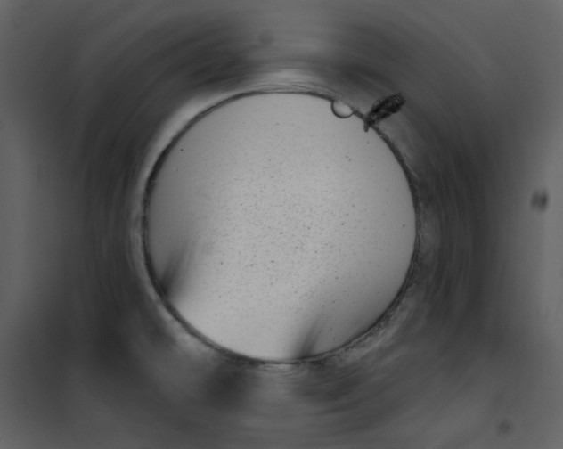 X0000101181478200807181436