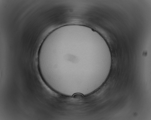 X0000101181479200807181436