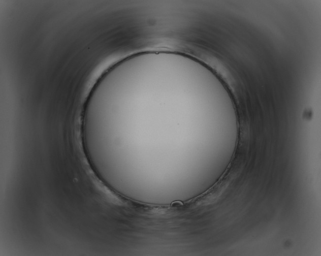 X0000101181480200807181436