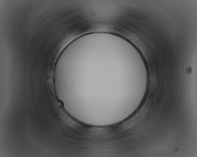 X0000101181481200807181436