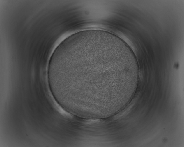 X0000101181482200807181436