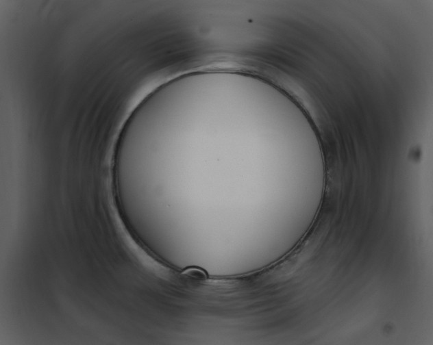 X0000101181483200807181436