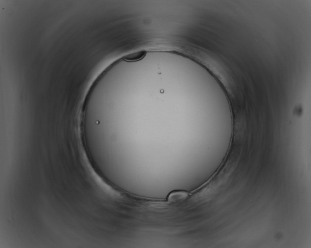 X0000101181484200807181436