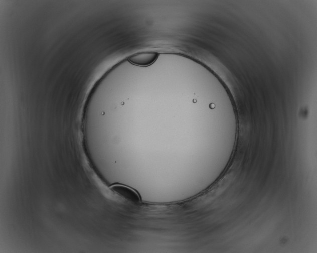 X0000101181485200807181436