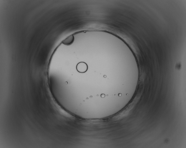 X0000101181486200807181436