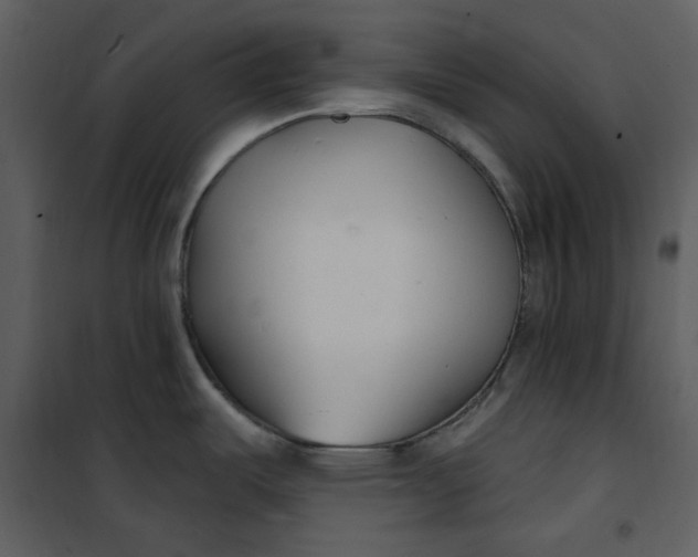 X0000101181487200807181436