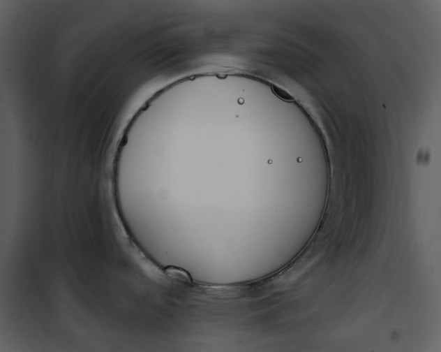 X0000101181488200807181436