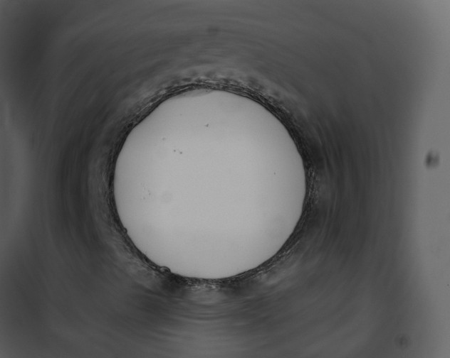 X0000101181489200807181435