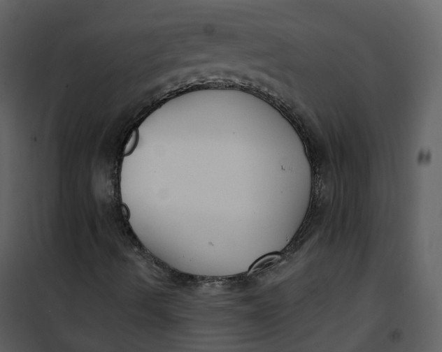 X0000101181490200807181435