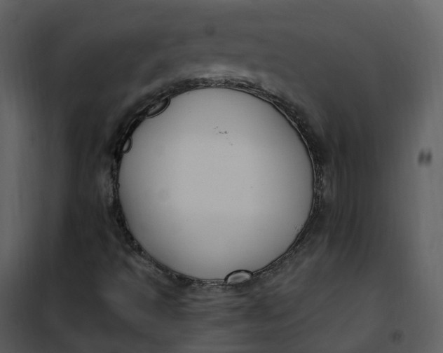 X0000101181493200807181435