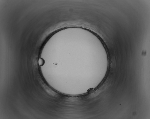 X0000101181499200807181435