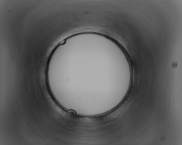 X0000101181500200807181435