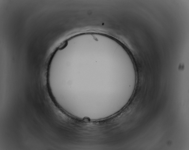 X0000101181504200807181435