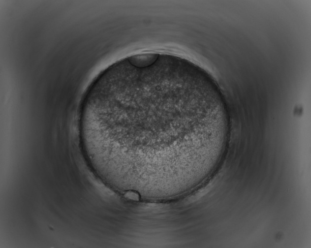 X0000101181506200807181435