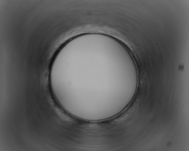 X0000101181507200807181435