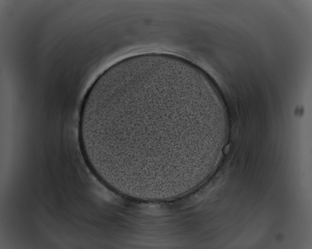 X0000101181508200807181435