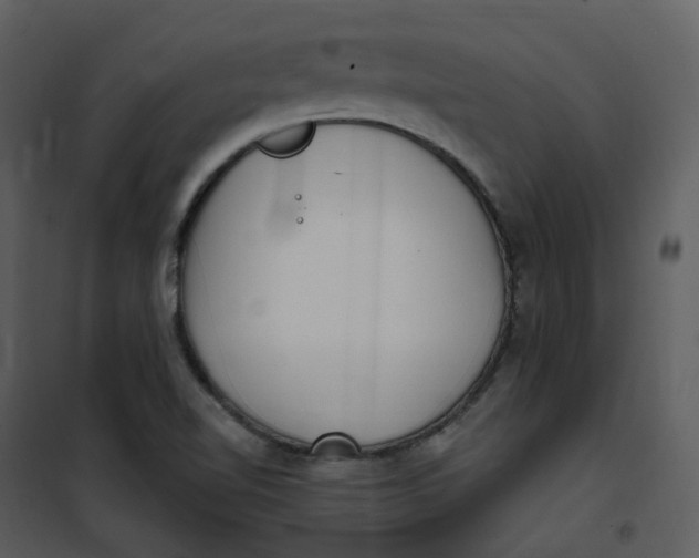 X0000101181510200807181435