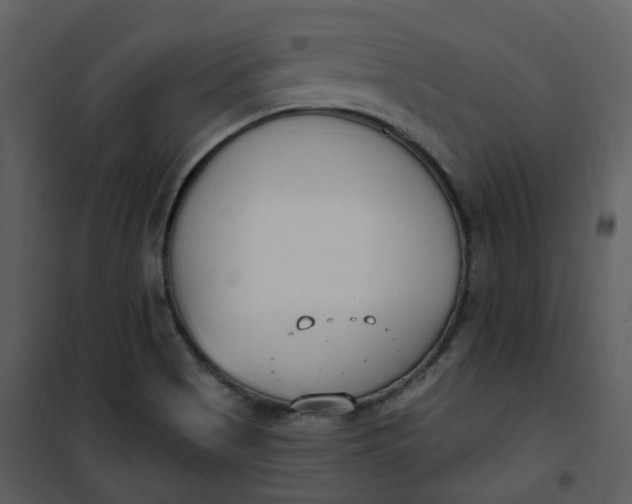 X0000101181513200807181435