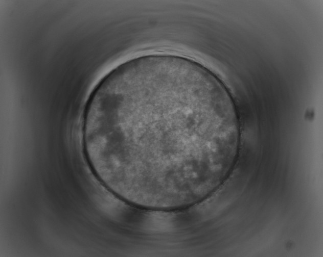 X0000101181514200807181435