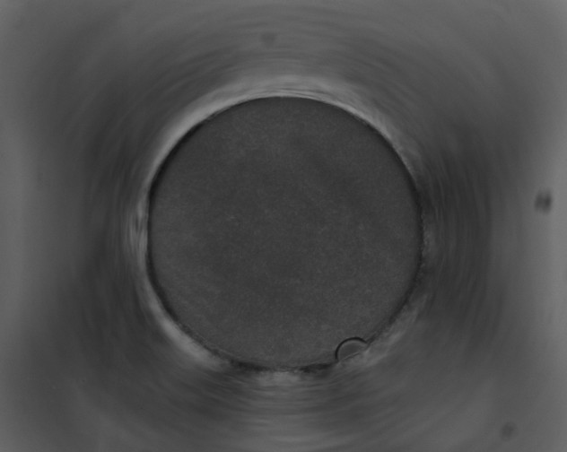 X0000101181515200807181435