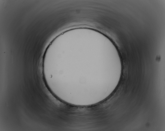 X0000101181516200807181435