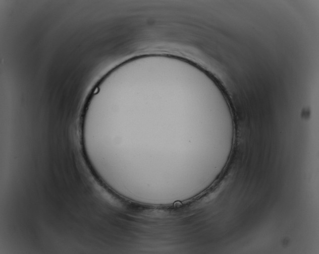 X0000101181517200807181435