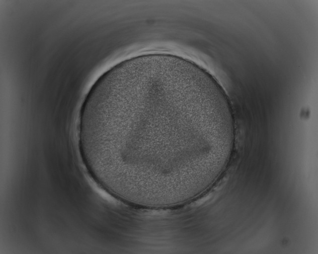 X0000101181519200807181435