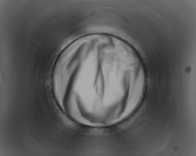 X0000101181521200807181435