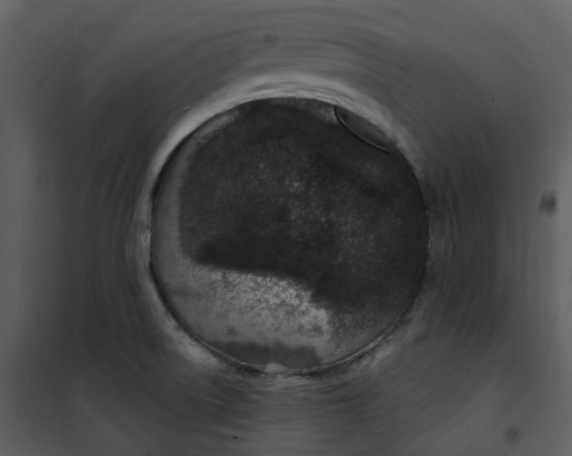 X0000101181522200807181435