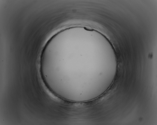 X0000101181523200807181435