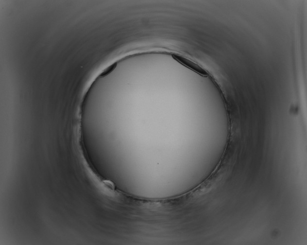 X0000101181524200807181435