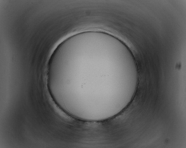 X0000101181526200807181435