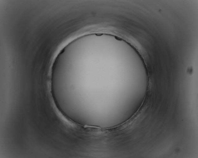 X0000101181528200807181436