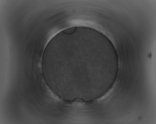 X0000101181529200807181436