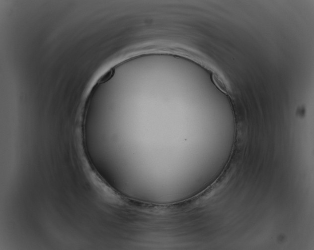 X0000101181530200807181436