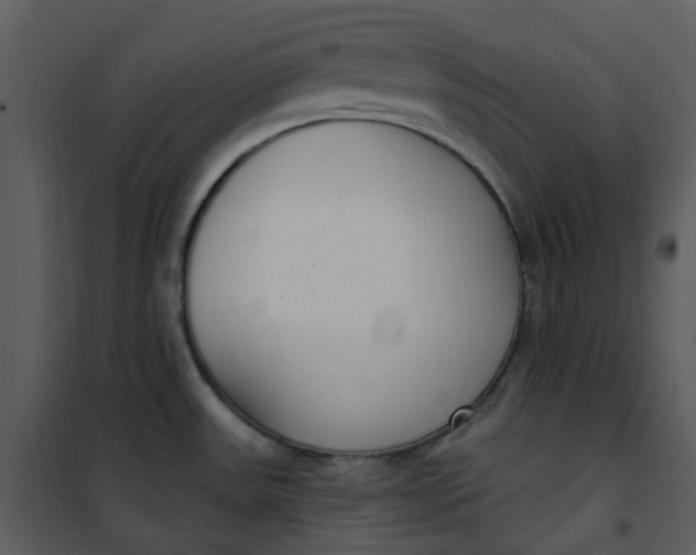 X0000101181531200807181436