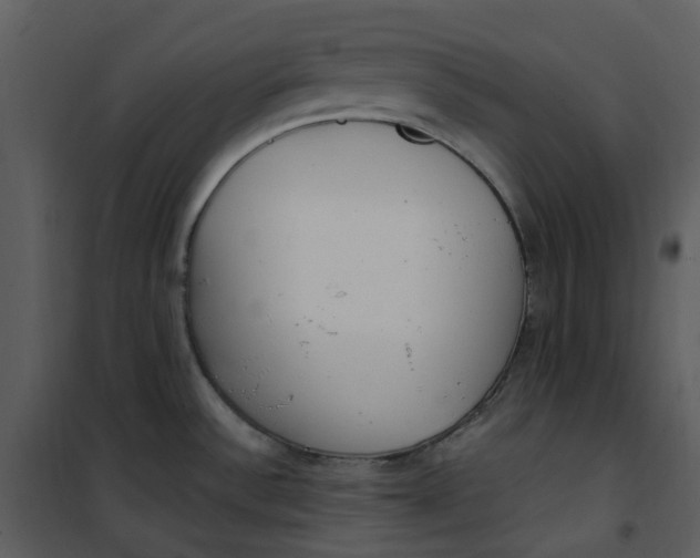 X0000101181532200807181436