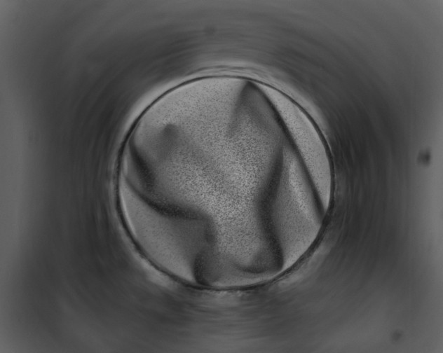 X0000101181533200807181436