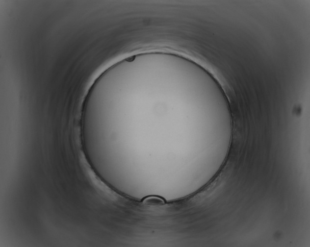 X0000101181534200807181436