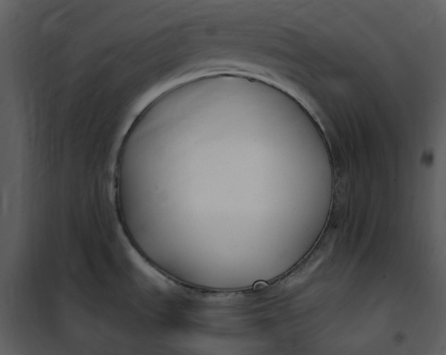 X0000101181535200807181436