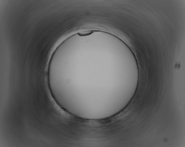 X0000101181536200807181436