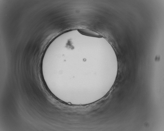 X0000101180001200807250950