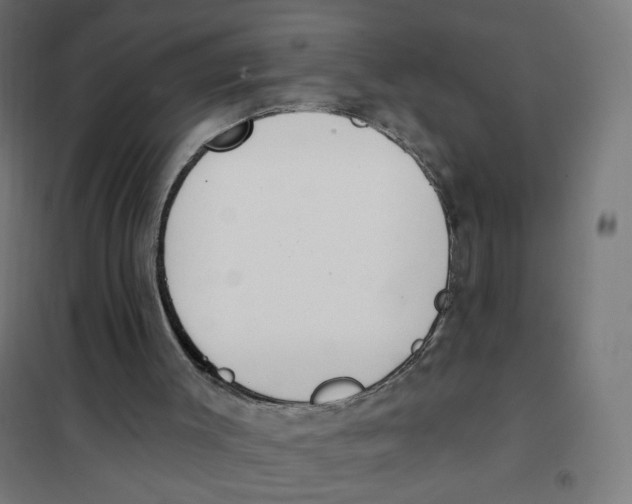 X0000101180003200807250950