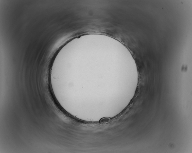 X0000101180005200807250950